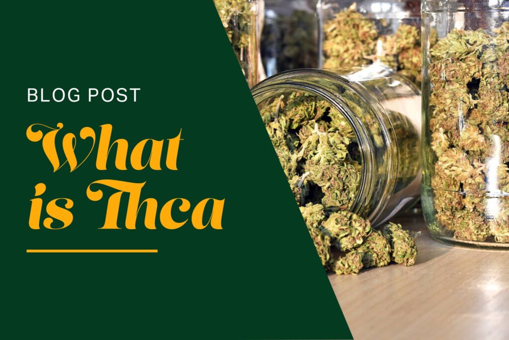What is THCA?