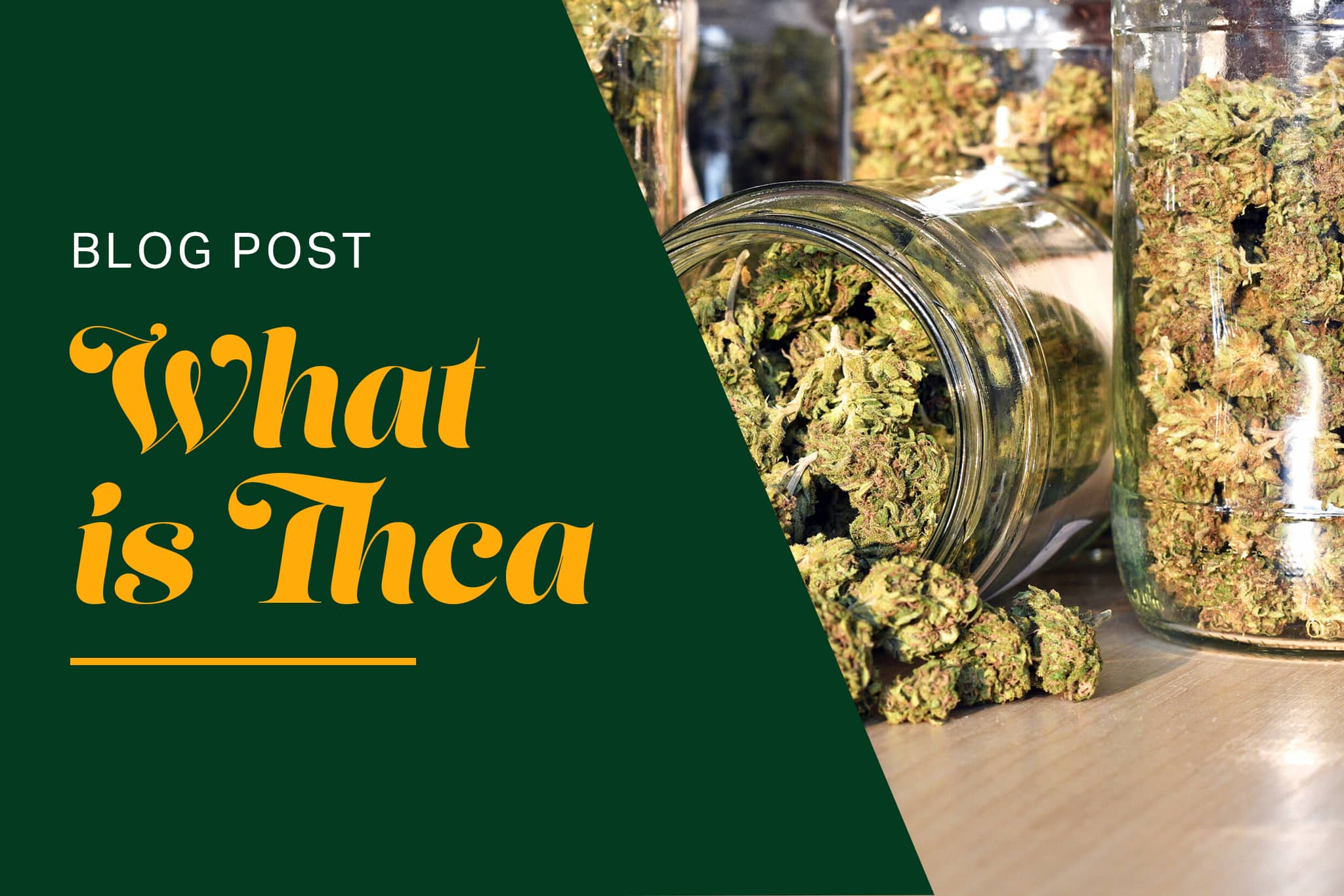 What is THCA?