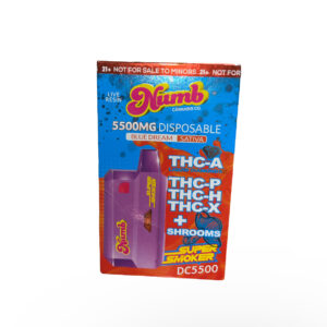 Numb Super Smoker 5.5g Disposable Vape THC-A, THC-P, Shrooms - Blue Dream (Sativa)