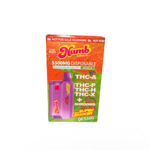 Numb Super Smoker 5.5g Disposable Vape THC-A, THC-P, Shrooms - Northern Lights (Indica)