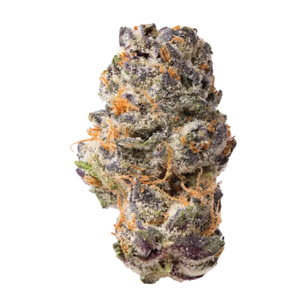 1G Queen Sherb