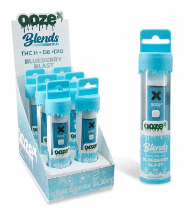 BLUEBERRY BLAST OOZE DISPOSABLE