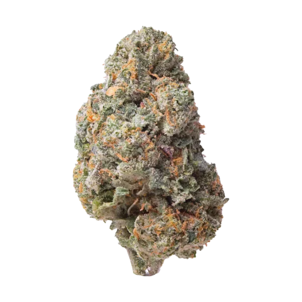 1G Zereal