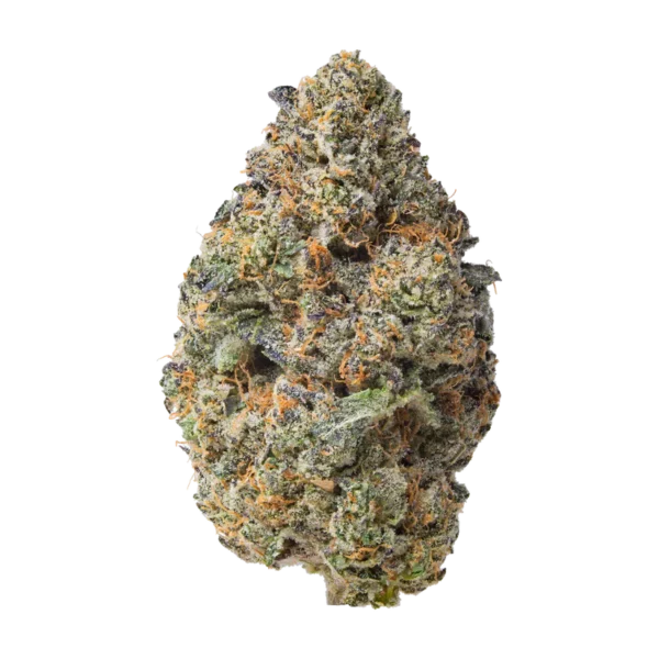 1G Purple Passion