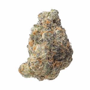 Gelato 33 THCa Flower
