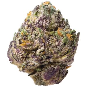 1G BURST