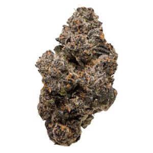 OBAMA RUNTZ 3.5G