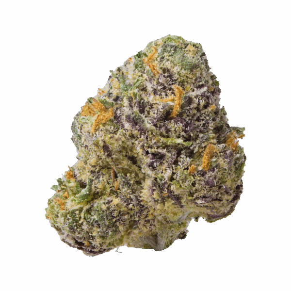 1G OCTANE